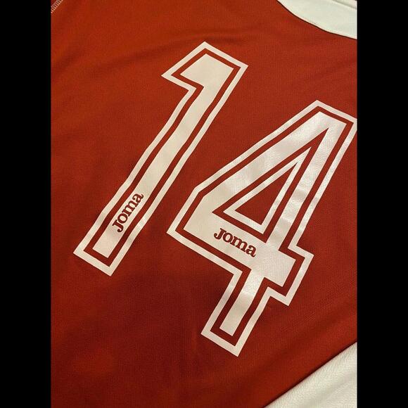 AS VARESE 1910 2008/09 HOME MATCH ISSUE WORN SHIRT #14 Serie C Lega Pro Italy - Picture 8 of 8